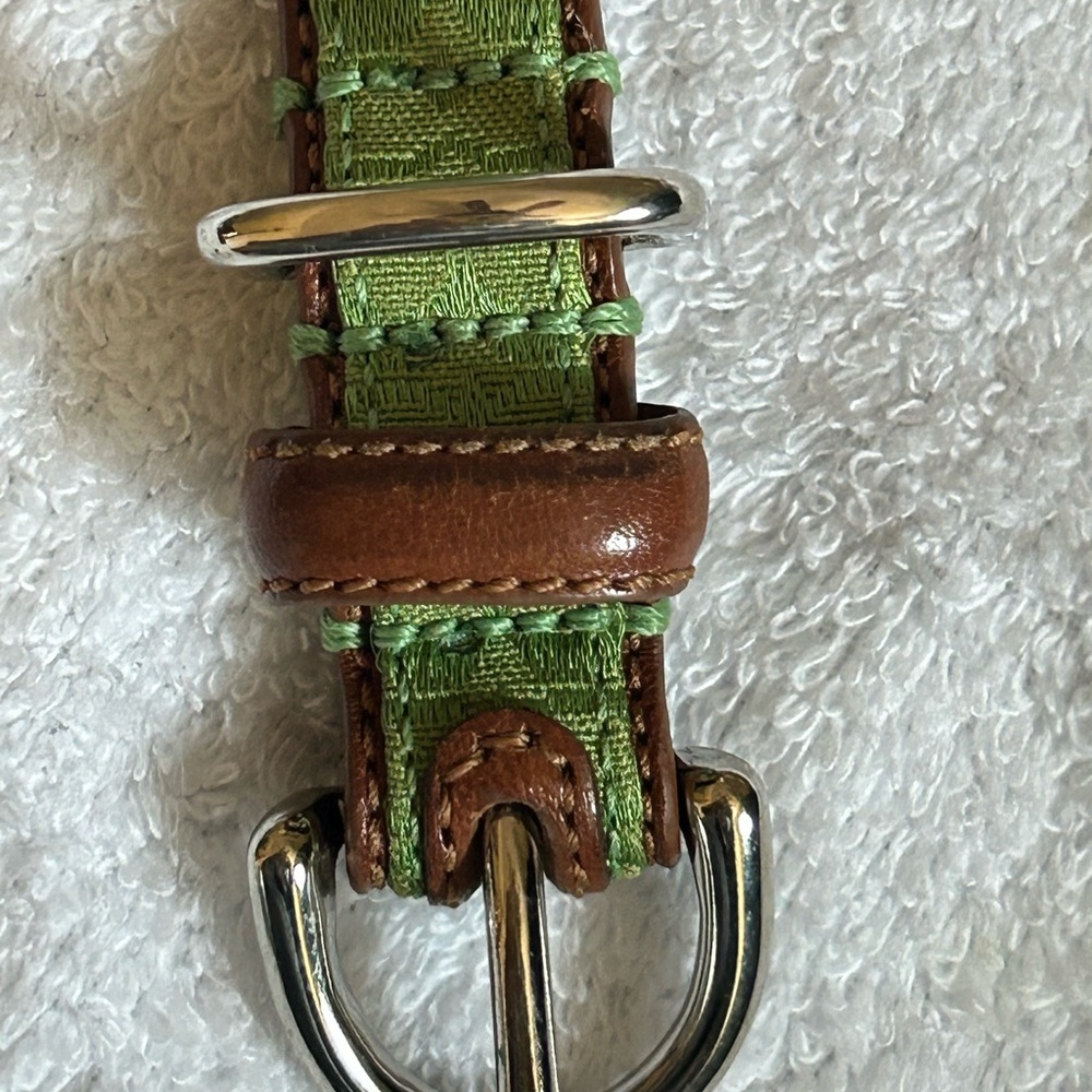 Genuine Coach Stylish Green and Brown Dog Collar